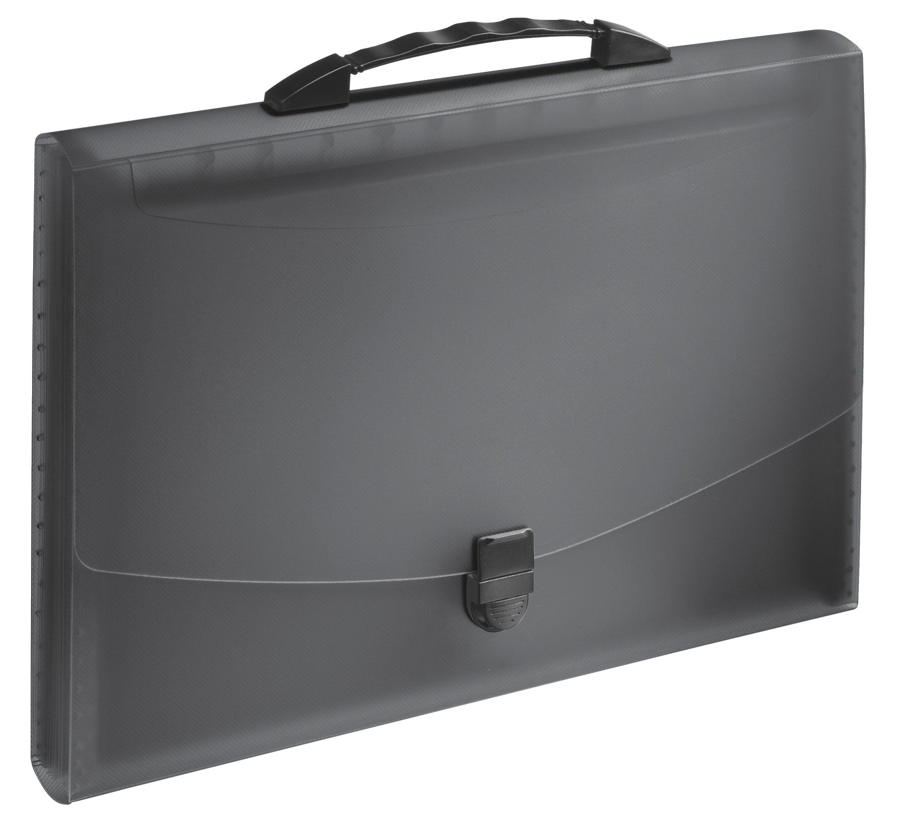 MAPA PLASTIC 12 COMPARTIMENTE CU MANER NEAGRA VIVIDA ESSELTE MAPA PLASTIC 12 COMPARTIMENTE CU MANER NEAGRA VIVIDA ESSELTE